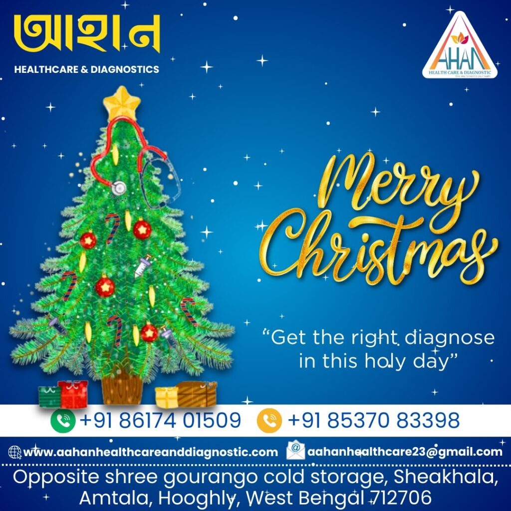 WhatsApp Image 2024-12-30 at 5.08.27 PM (3)